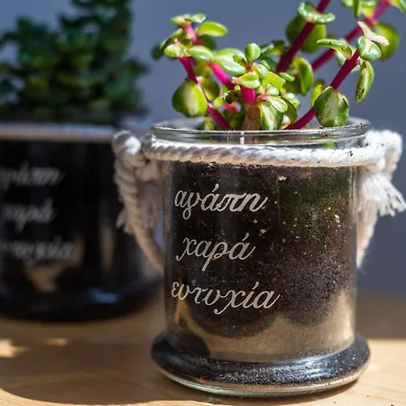 Сasa de vacaciones Nelleas