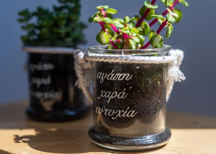 Casa de Férias Nelleas