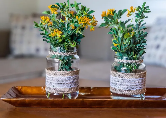 Nelleas Dom wakacyjny Adamantas (Milos)